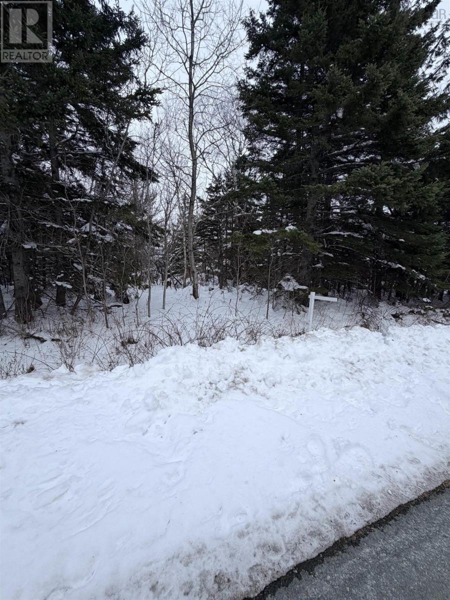 Spanish River Court, Sydney Forks, Nova Scotia  B1L 1C1 - Photo 2 - 202602373
