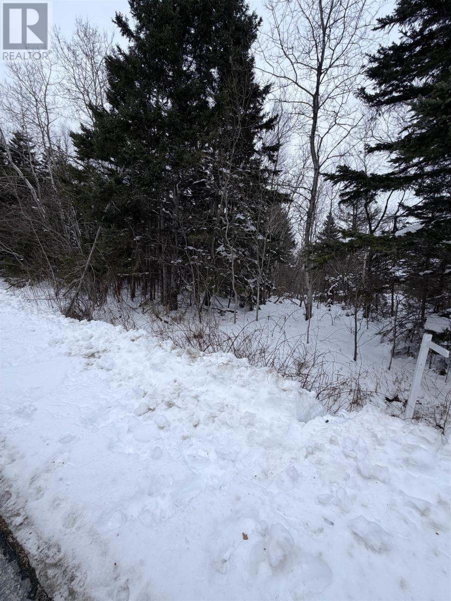 Spanish River Court, Sydney Forks, Nova Scotia  B1L 1C1 - Photo 3 - 202602373