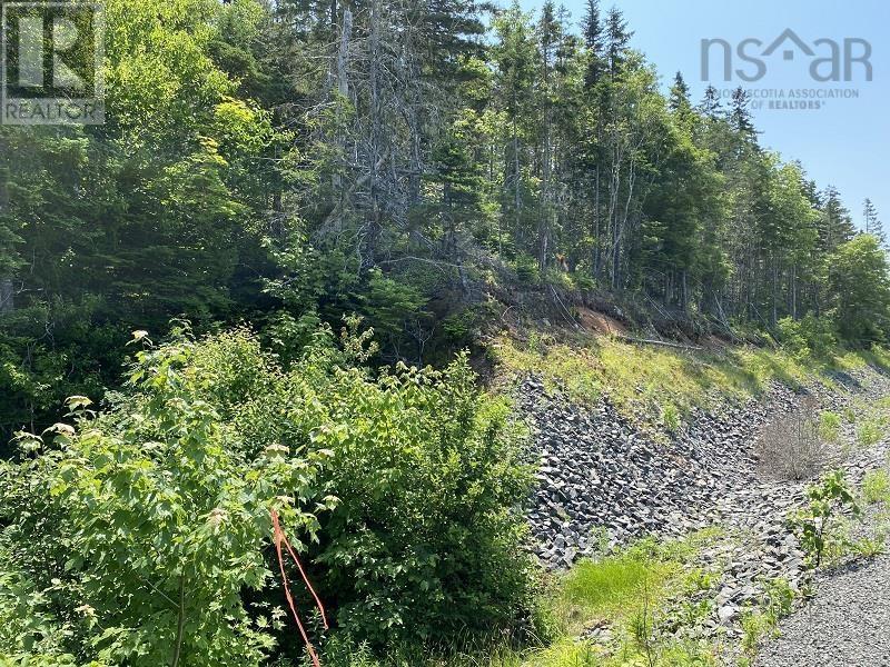 0 Cabot Trail, Tarbot, Nova Scotia
