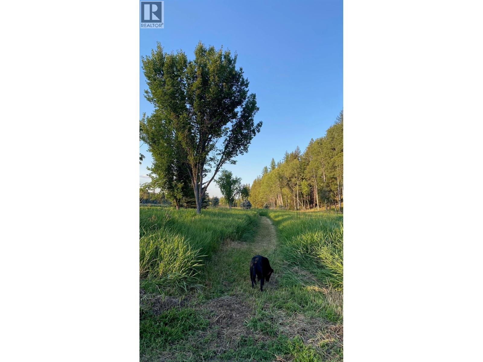 8529 Hwy 95a, Kimberley, British Columbia  V1A 3M1 - Photo 27 - 10377018