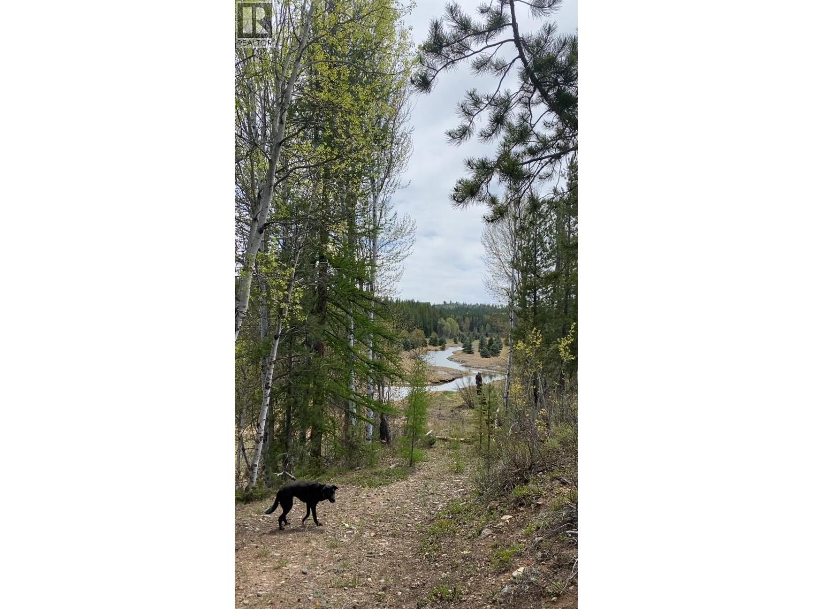 8529 Hwy 95a, Kimberley, British Columbia  V1A 3M1 - Photo 28 - 10377018