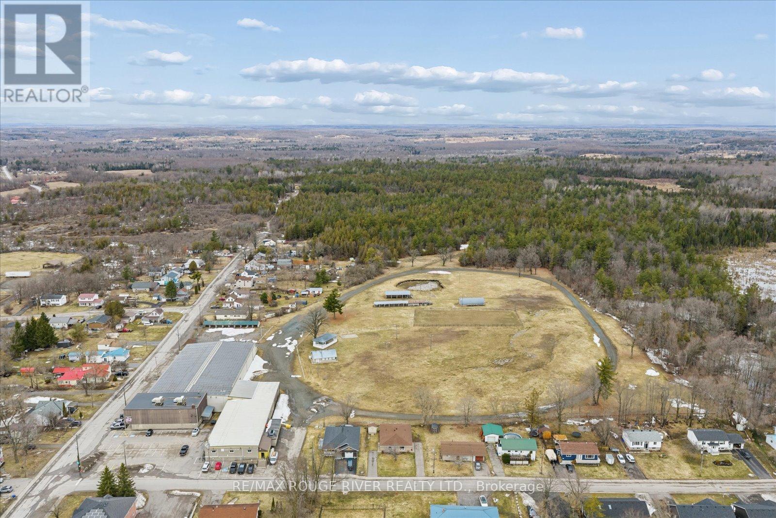 6 Crawford Drive, Marmora And Lake, Ontario  K0K 2M0 - Photo 33 - X12950630