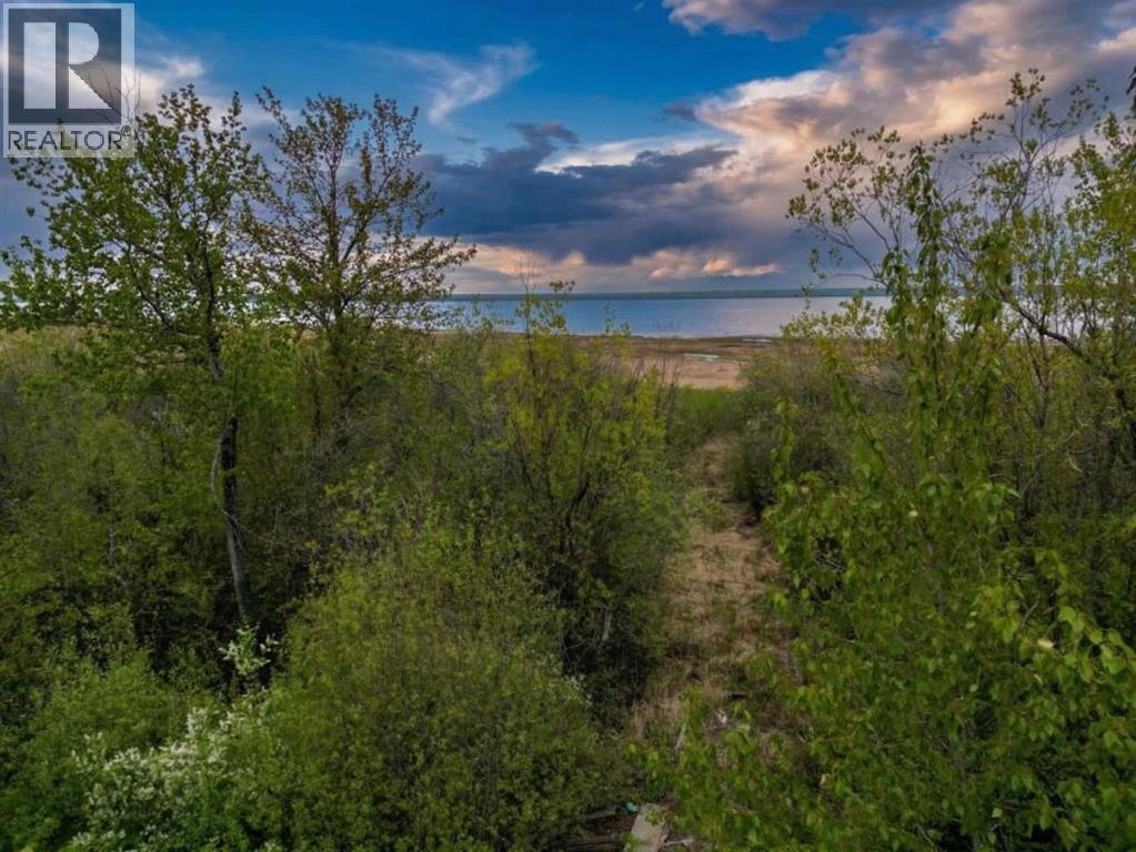 151 Peace River Avenue, Joussard, Alberta  T0G 1J0 - Photo 3 - A2296771