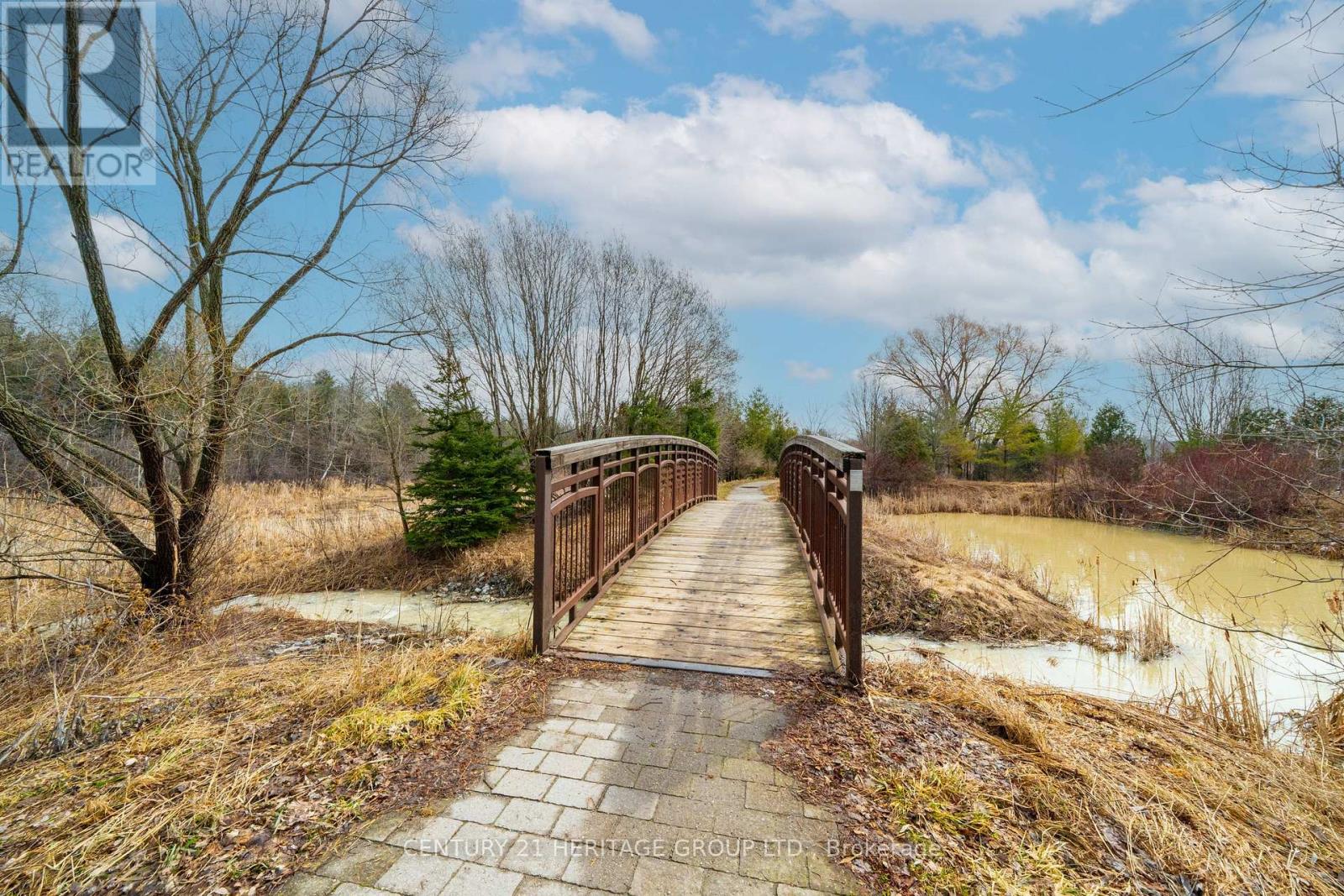 126 Lowther Avenue, Richmond Hill, Ontario  L4E 4P4 - Photo 18 - N12950324