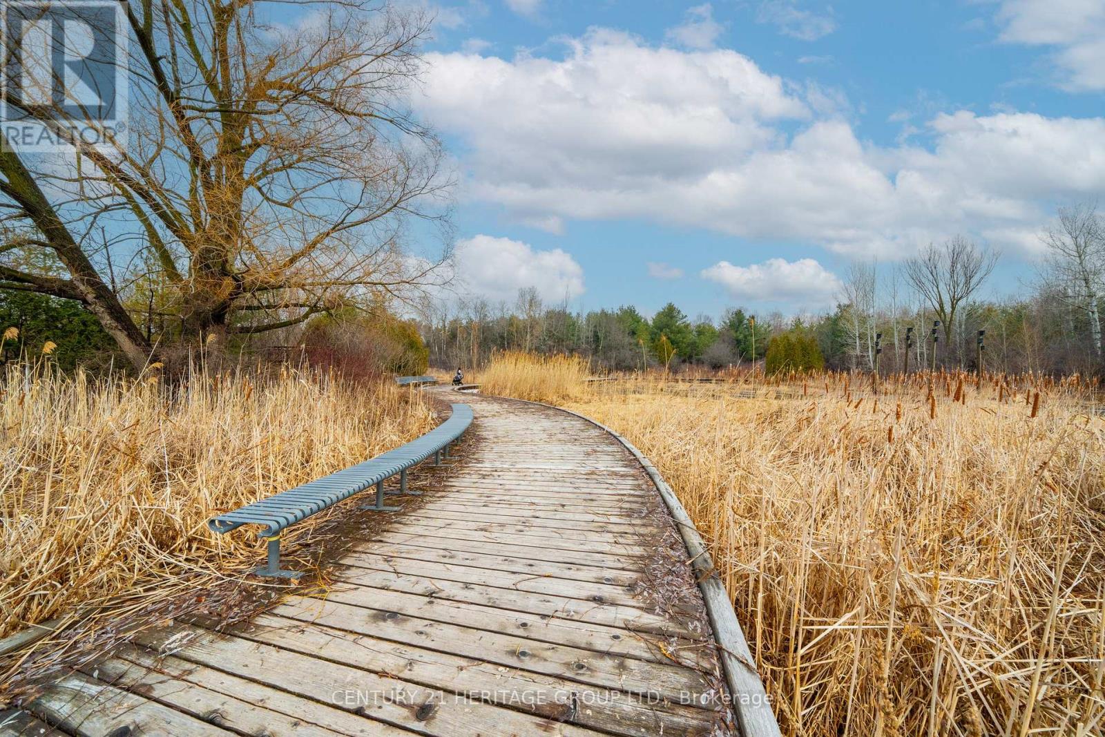 126 Lowther Avenue, Richmond Hill, Ontario  L4E 4P4 - Photo 19 - N12950324