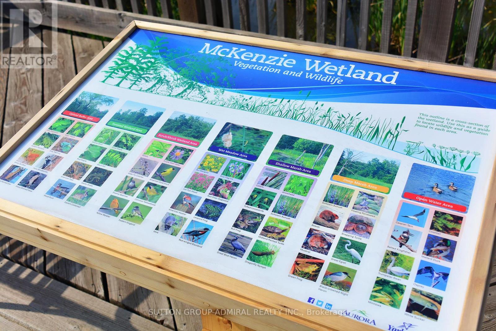 70 Minlow Way, Aurora, Ontario  L4G 0Y1 - Photo 43 - N12950634