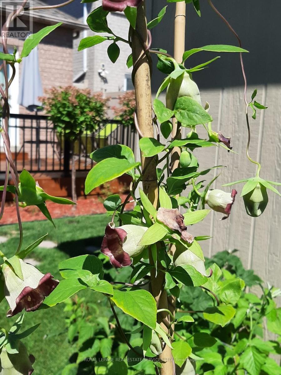 236 Slywood Crescent, Vaughan, Ontario  L6A 2P9 - Photo 50 - N12950694