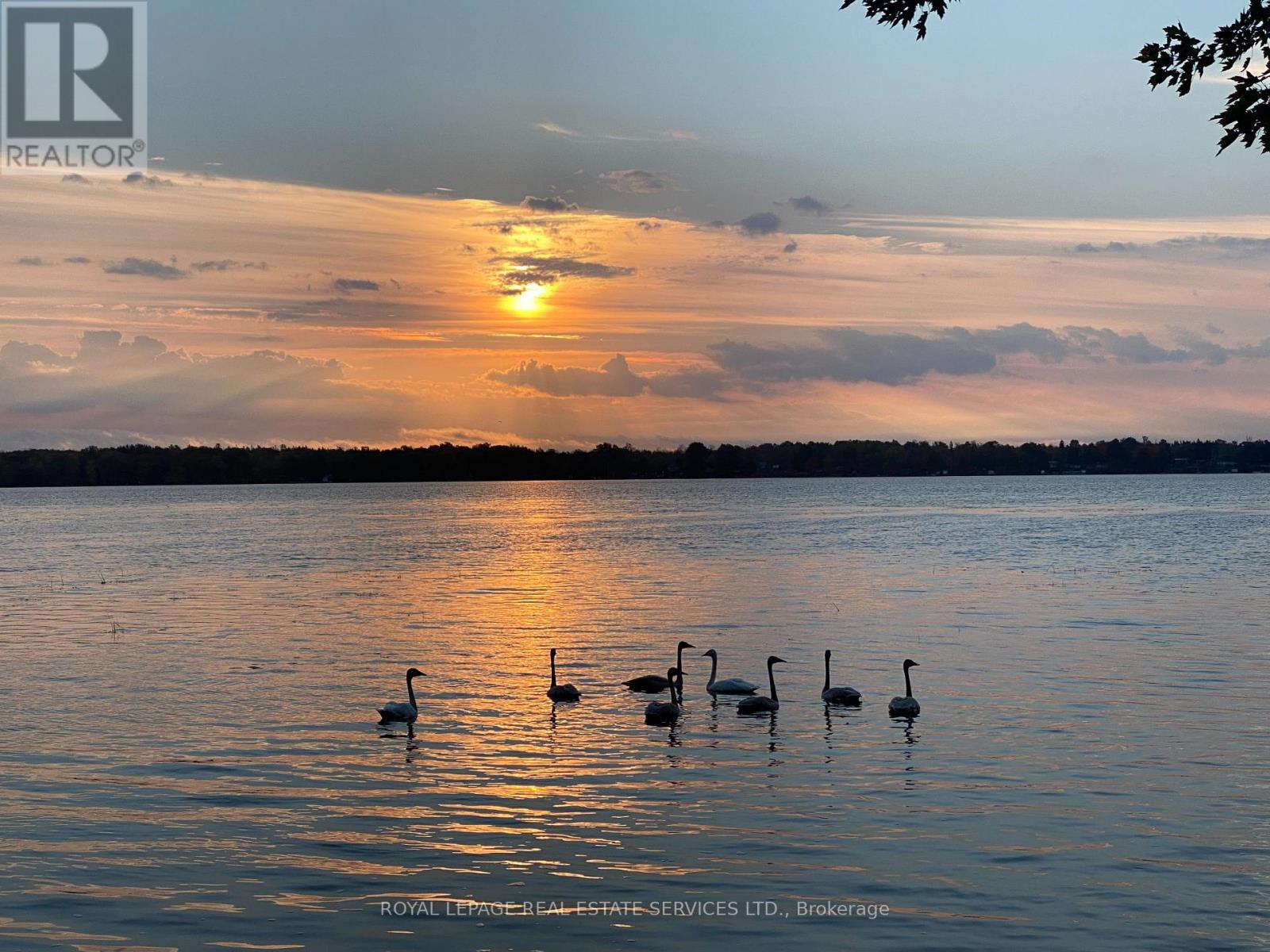1129 Concession Road 9, Ramara, Ontario  L0K 1B0 - Photo 46 - S12950472