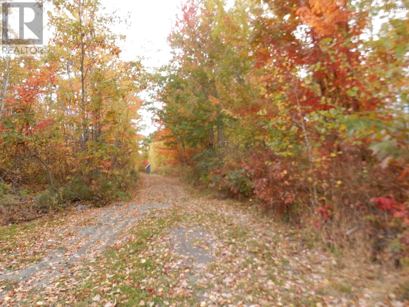 Highway 6, Waldegrave, Nova Scotia  B0K 1V0 - Photo 20 - 202606201