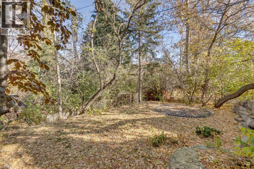 1302 Frontenac Avenue Sw, Calgary, Alberta  T2B 1B6 - Photo 40 - A2265694