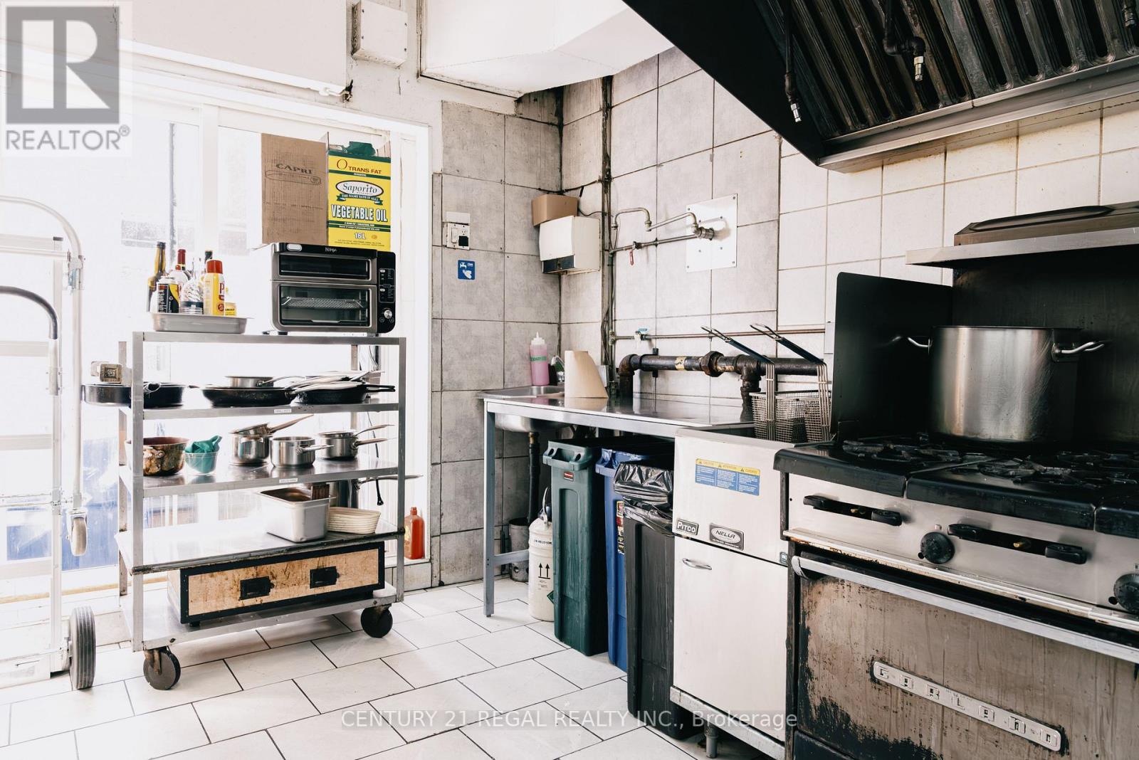 109 Jefferson Avenue, Toronto, Ontario  M6K 3E4 - Photo 14 - W12950700