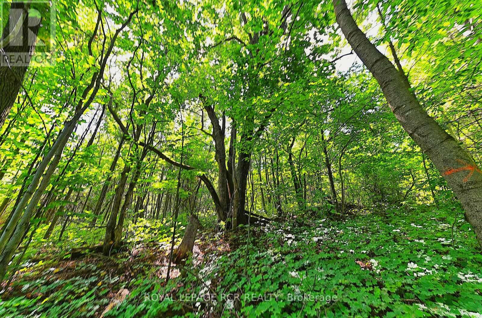 1614 Nottawasaga Concession Rd 10, Clearview, Ontario  N0C 1M0 - Photo 38 - S12950712