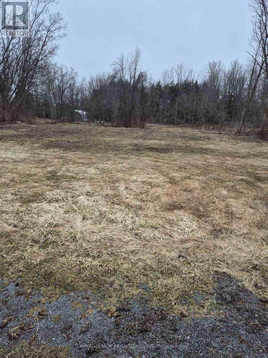 58 Walt Street, Brighton, Ontario K0K 1H0 - Photo 3 - X12951058