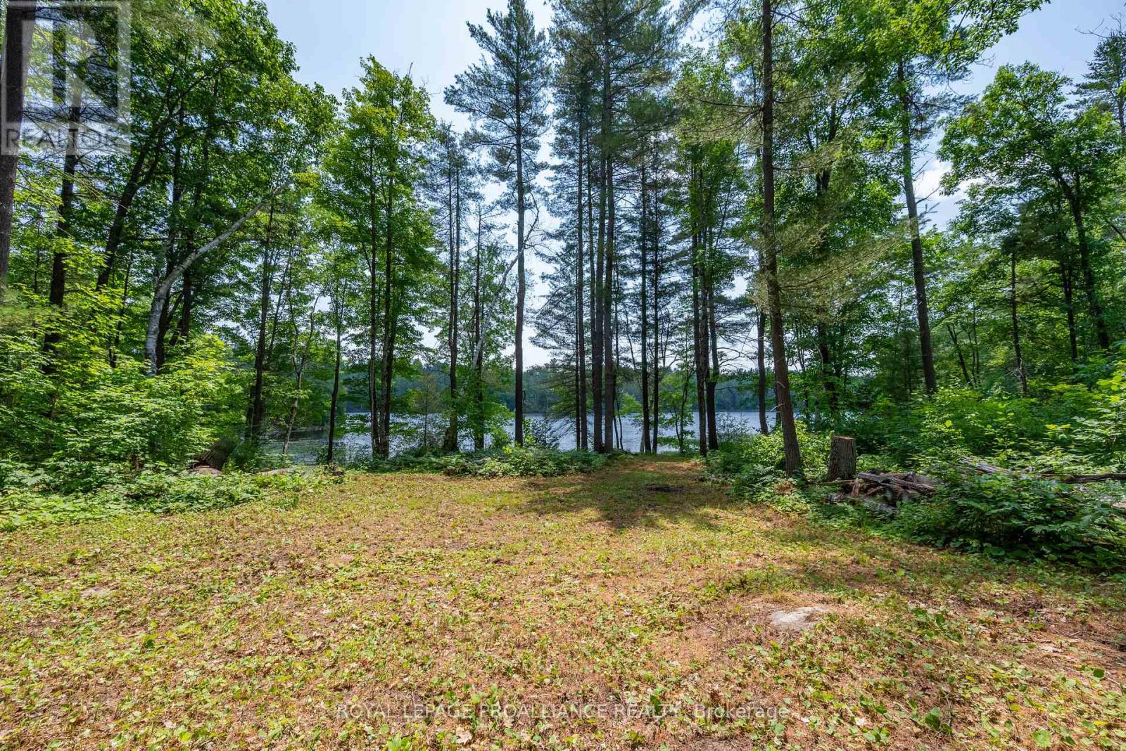 1180 Marshall Lane, North Frontenac (Frontenac North), Ontario  K0H 1K0 - Photo 4 - X12951094