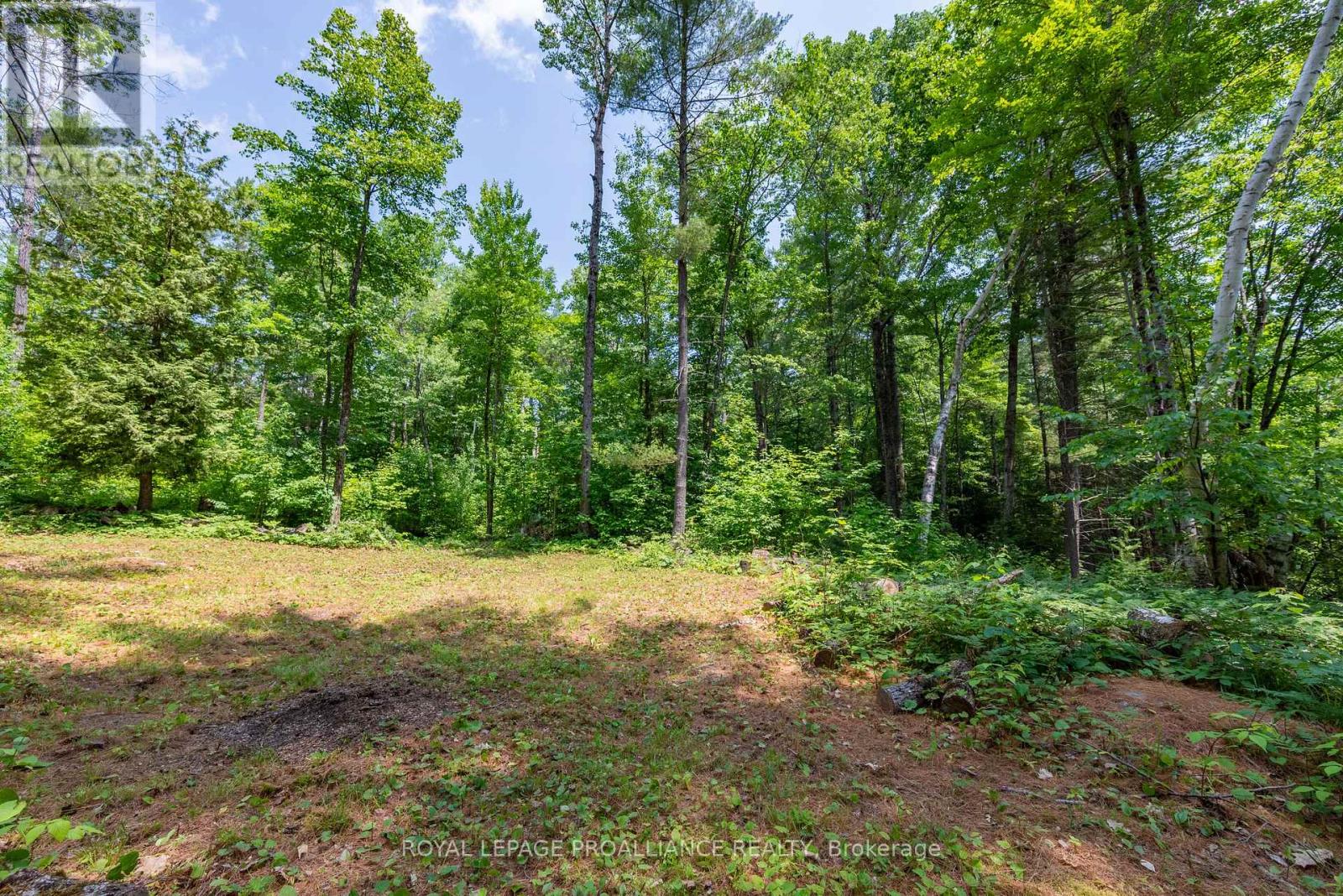 1180 Marshall Lane, North Frontenac (Frontenac North), Ontario  K0H 1K0 - Photo 5 - X12951094