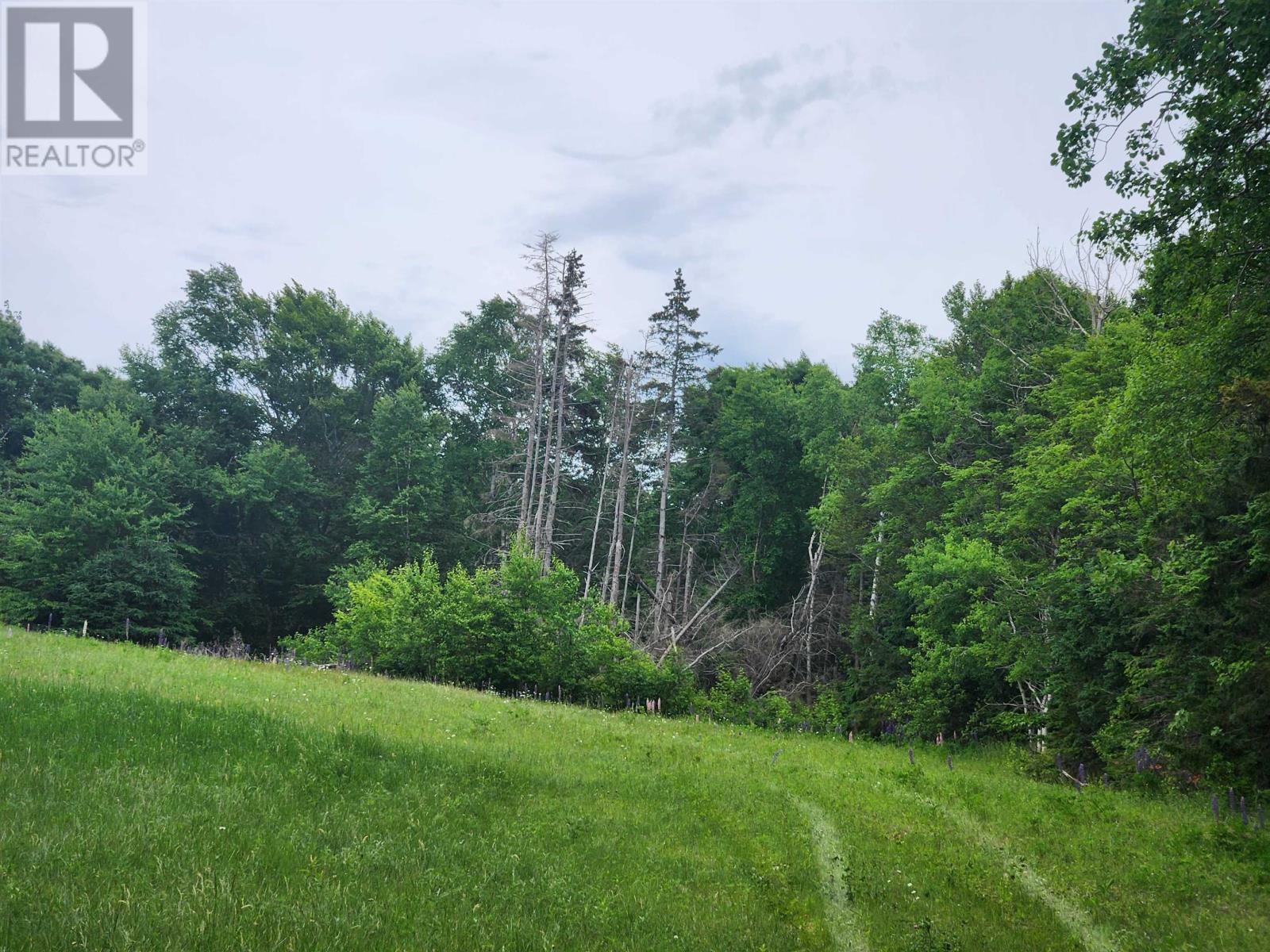 Acreage Route 17, Gaspereaux, Prince Edward Island  C0A 1R0 - Photo 13 - 202515697