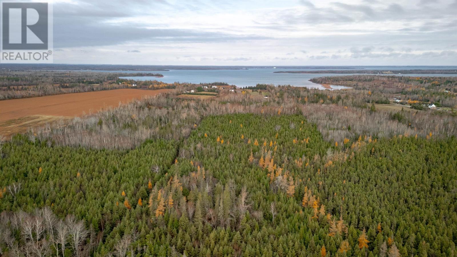 Acreage Route 17, Gaspereaux, Prince Edward Island  C0A 1R0 - Photo 8 - 202515697
