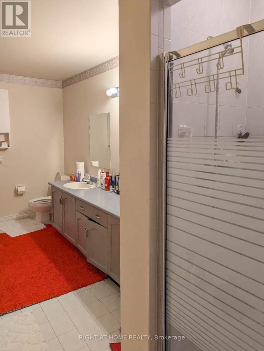 64 Springfield Boulevard, Hamilton, Ontario  L9K 1H8 - Photo 18 - X12950838