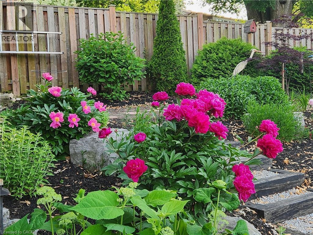 34 Leslie Avenue, Cambridge, Ontario  N1S 4N7 - Photo 45 - 40816184