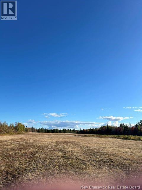 167 Rivière-Du-Portage Sud Street, Rivière-Du-Portage, New Brunswick  E9H 1S2 - Photo 18 - NB136412