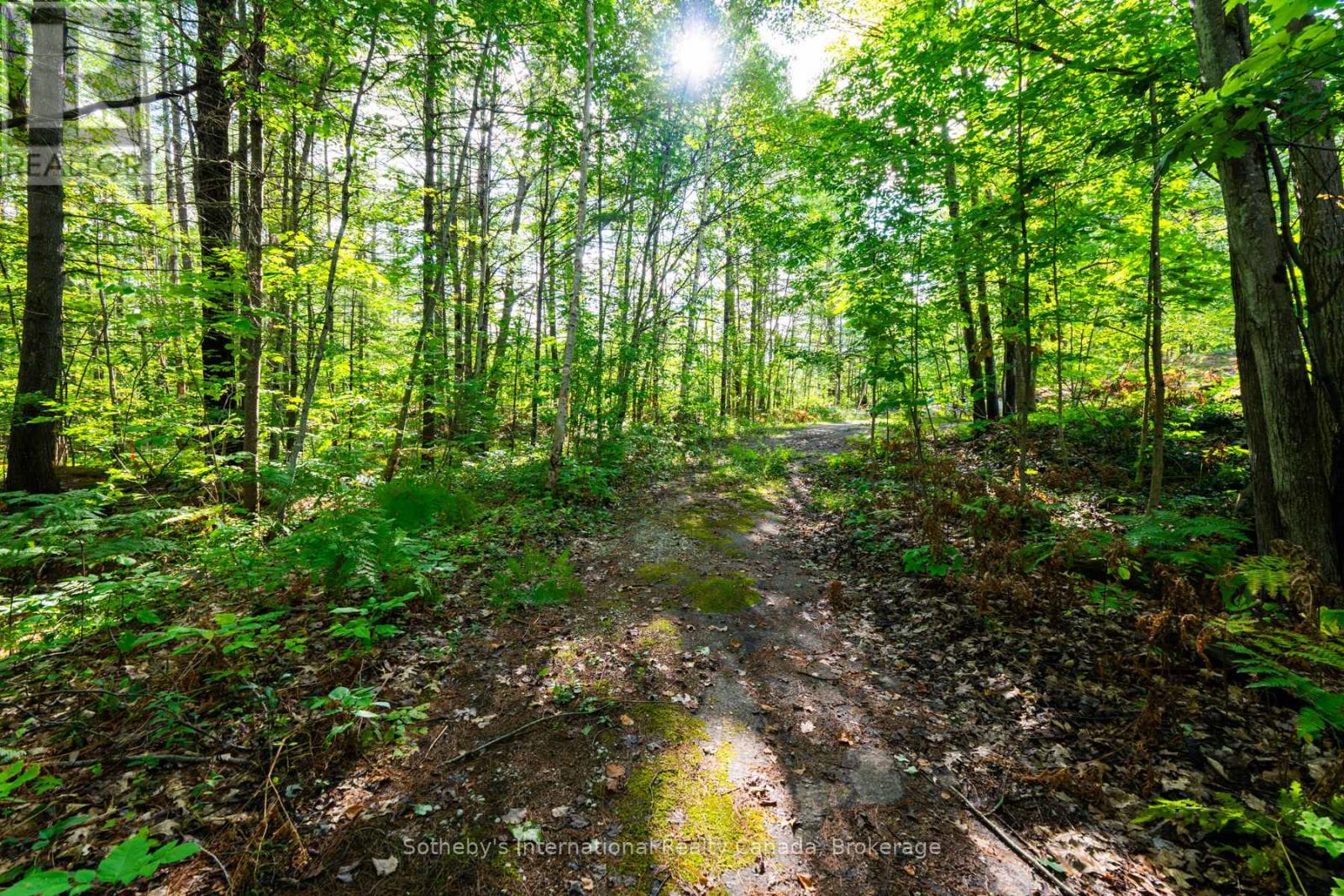 1060 North Kahshe Lake Road, Gravenhurst, Ontario  P0E 1G0 - Photo 45 - X12951024