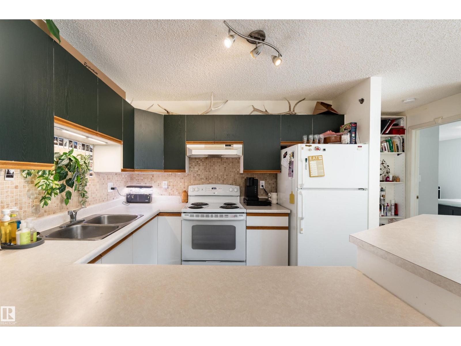 #315 10508 119 St Nw, Edmonton, Alberta  T5H 4M1 - Photo 14 - E4480266