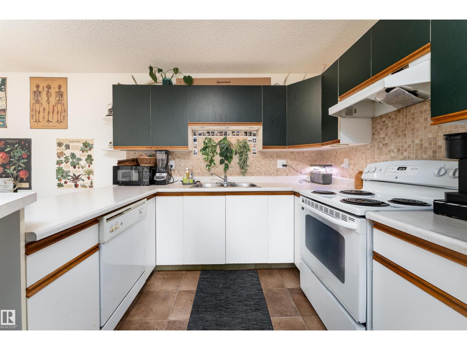 #315 10508 119 St Nw, Edmonton, Alberta  T5H 4M1 - Photo 13 - E4480266