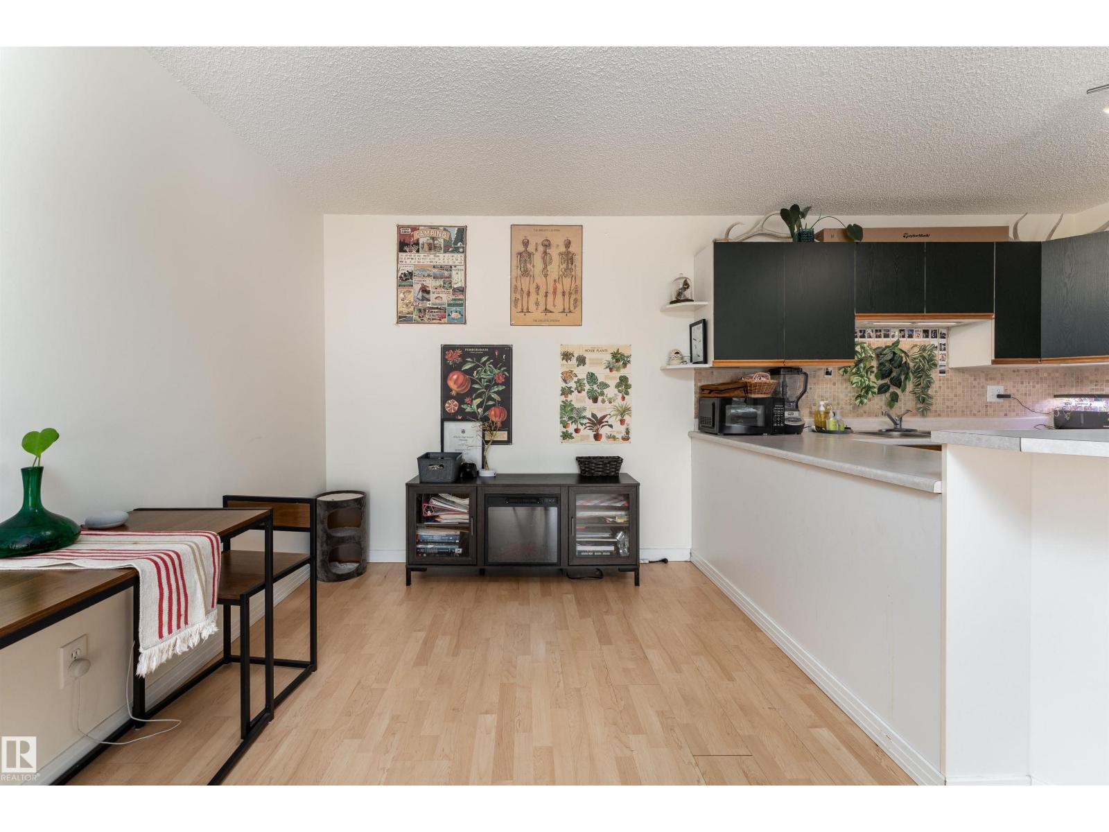 #315 10508 119 St Nw, Edmonton, Alberta  T5H 4M1 - Photo 10 - E4480266