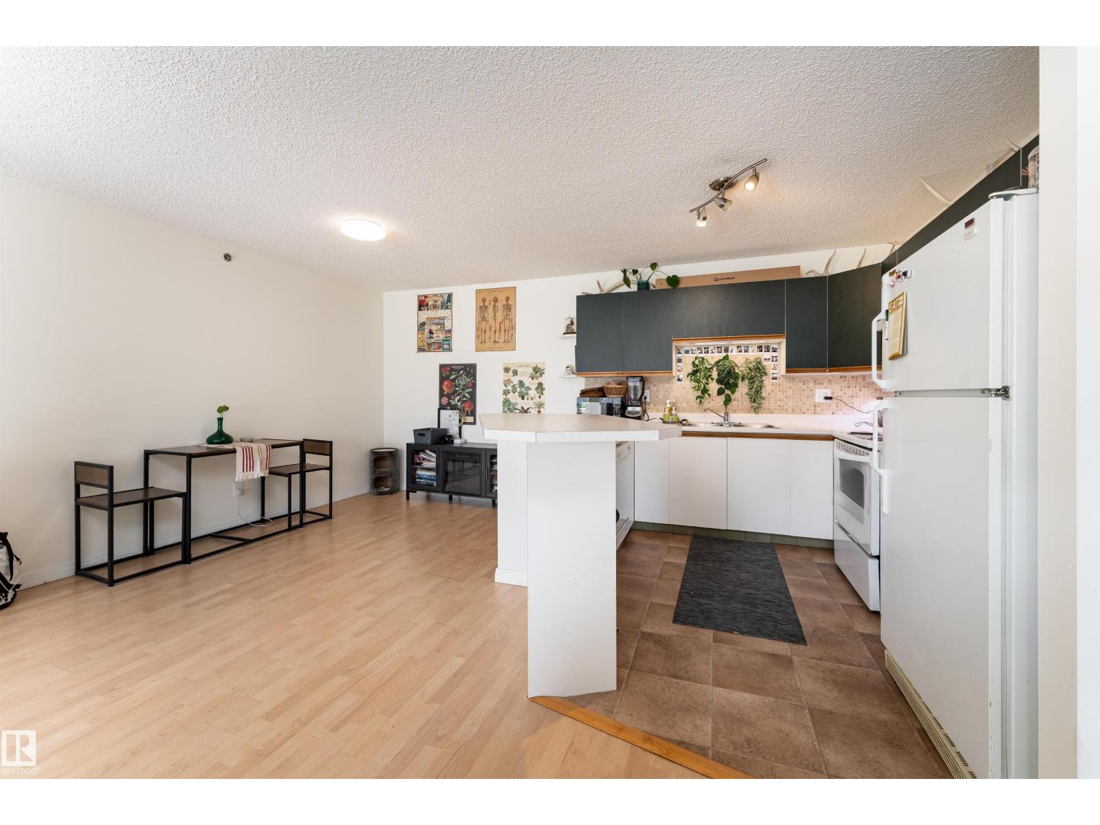 #315 10508 119 St Nw, Edmonton, Alberta  T5H 4M1 - Photo 12 - E4480266
