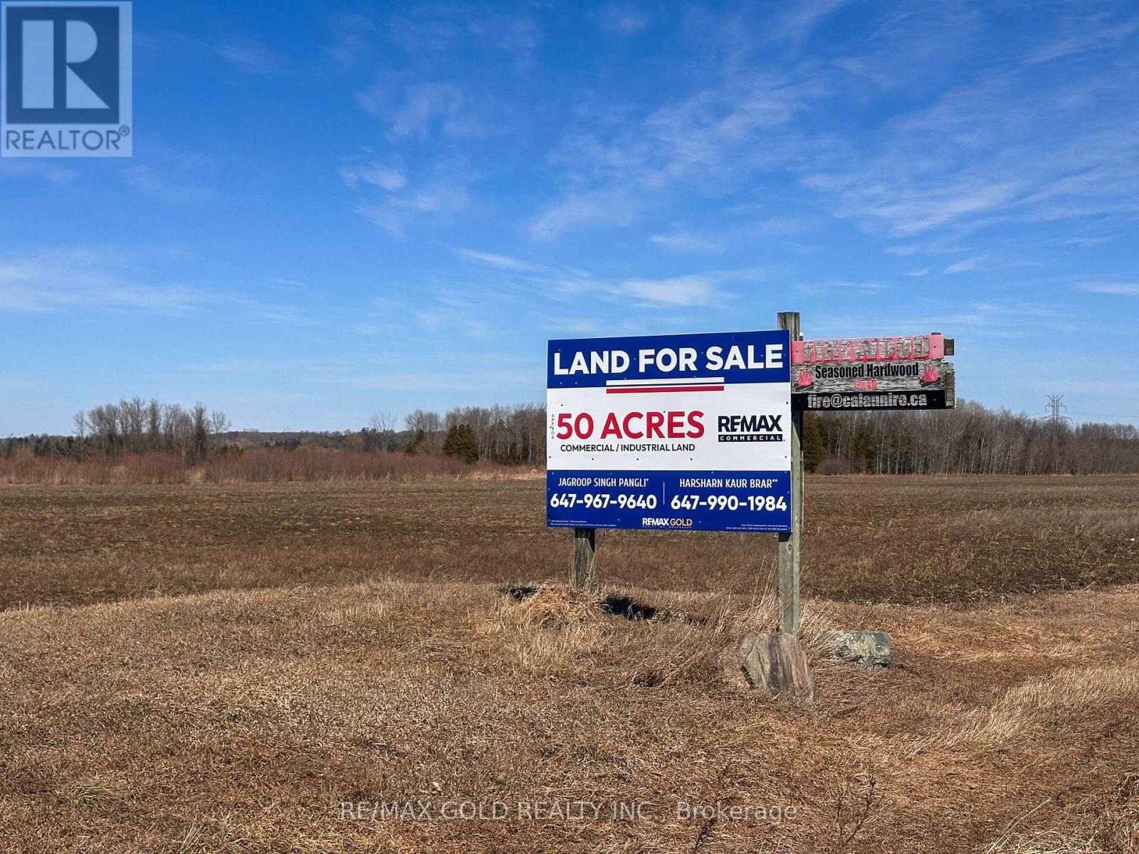 5525 Concession Rd 4, Adjala-Tosorontio, Ontario  L0M 1J0 - Photo 12 - N12845308