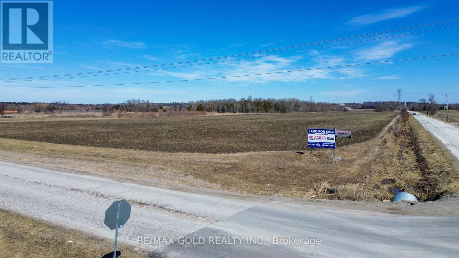 5525 Concession Rd 4, Adjala-Tosorontio, Ontario  L0M 1J0 - Photo 5 - N12845308