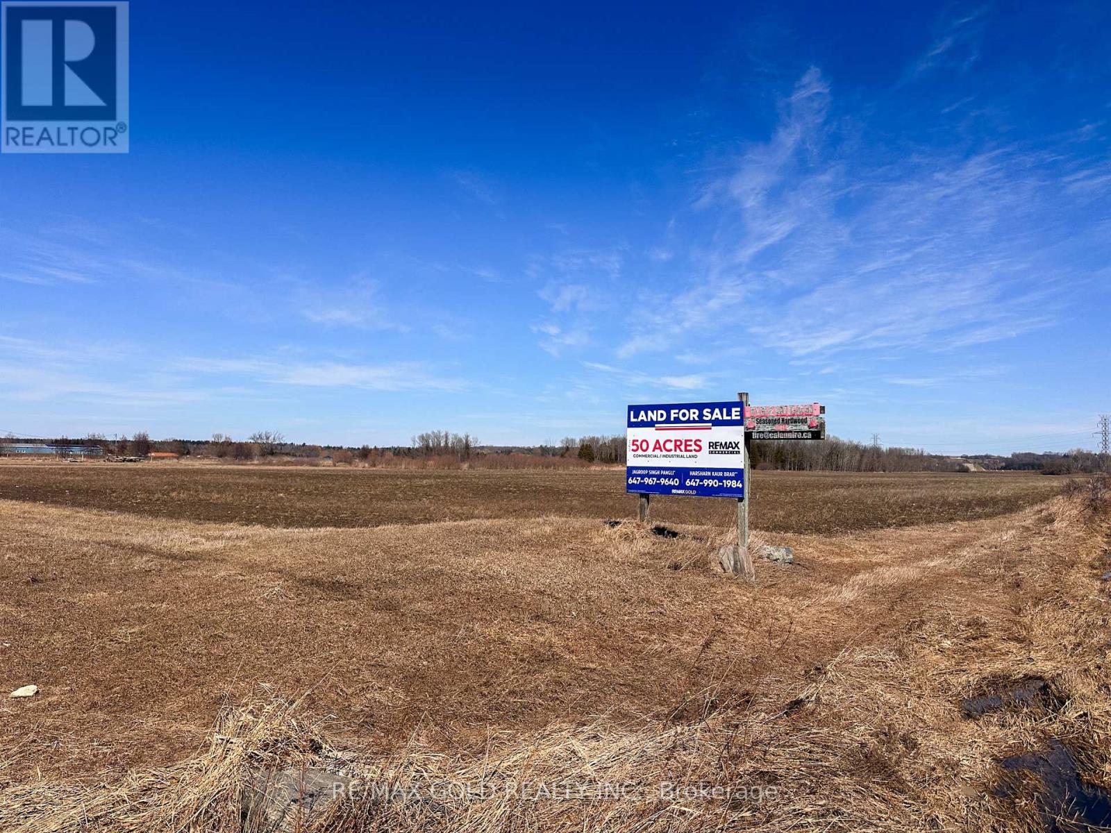 5525 Concession Rd 4, Adjala-Tosorontio, Ontario  L0M 1J0 - Photo 11 - N12845308