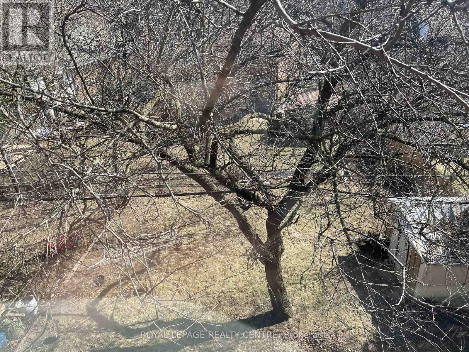 Unit 3 - 339 Sheppard Avenue E, Toronto, Ontario  M2N 3B3 - Photo 20 - C12951124