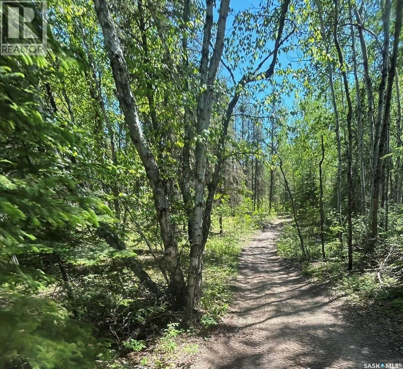 2 Canoe Road, Cole Bay, Saskatchewan  S0M 0M0 - Photo 5 - SK031922