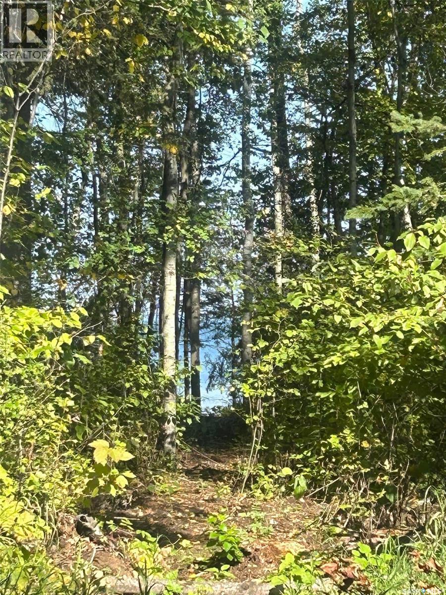 2 Canoe Road, Cole Bay, Saskatchewan  S0M 0M0 - Photo 6 - SK031922