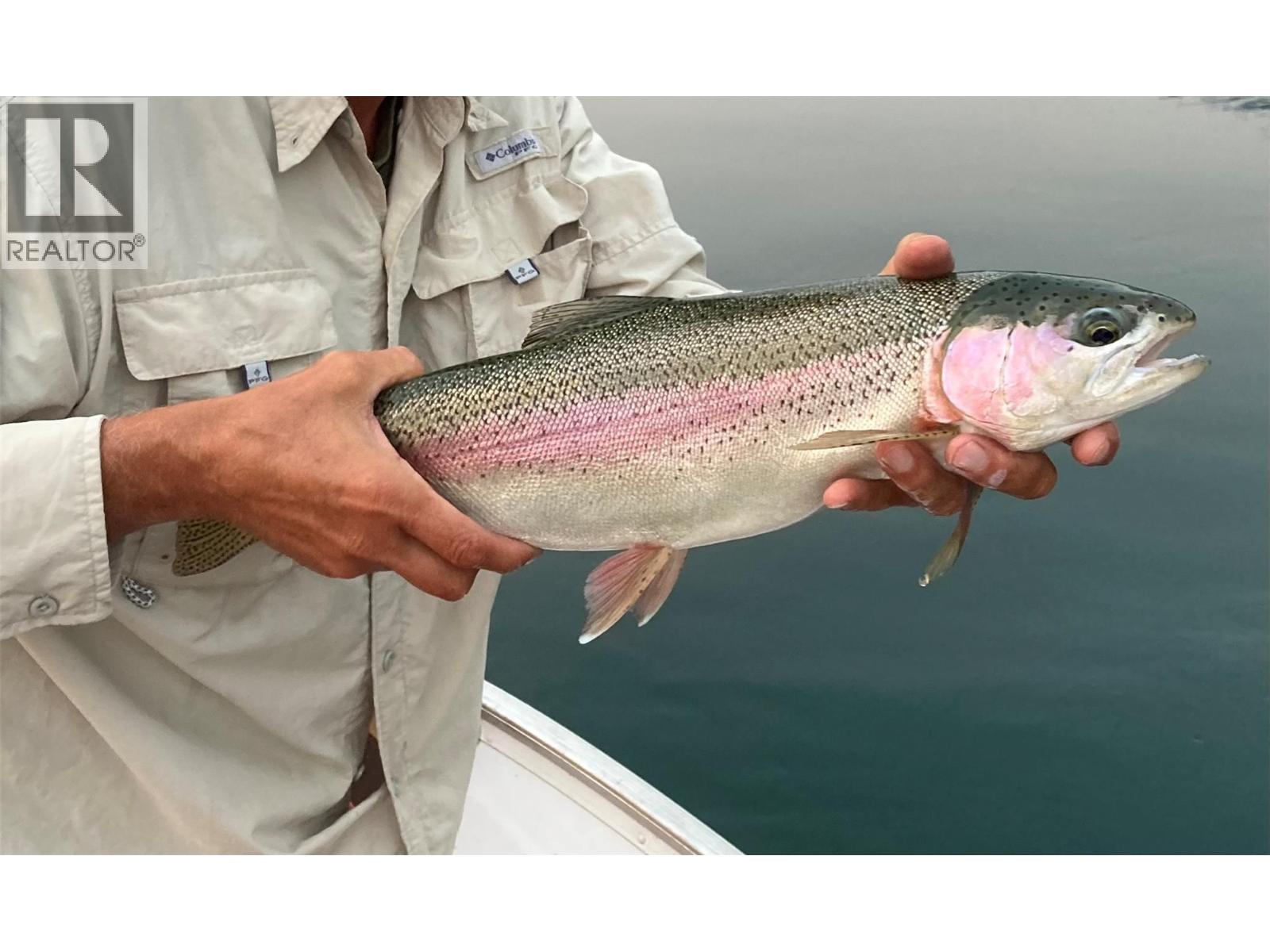 1864 Highway 3a, Castlegar, British Columbia  V1N 4N7 - Photo 18 - 10381286