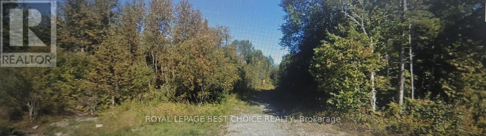 35-39 Pyrite Street, Cobalt, Ontario  P0J 1C0 - Photo 2 - T12951406