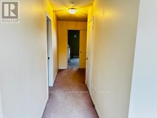 97 Maroon Drive, Richmond Hill, Ontario  L4E 5B6 - Photo 31 - N12947268