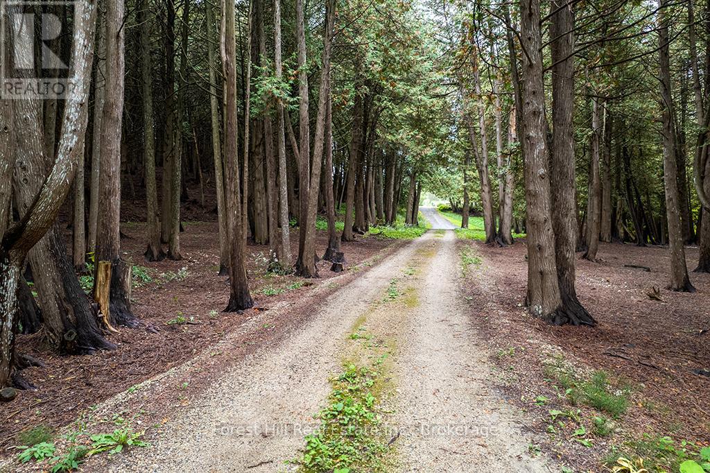 403288 Grey Road 4, West Grey, Ontario  N0G 1R0 - Photo 40 - X12951434