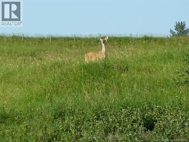 10, 420069 Range Road 284, Rural Ponoka County, Alberta  T4J 1R3 - Photo 6 - A2262913