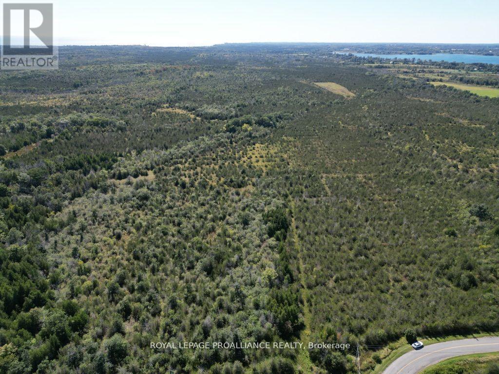 3526 County Road 13 Road, Prince Edward County, Ontario  K0K 2T0 - Photo 4 - X12951602