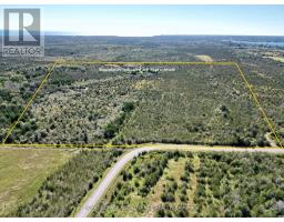 3526 COUNTY ROAD 13 ROAD, Prince Edward County, Ontario