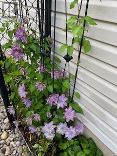 39 - 145 North Centre Road, London North, Ontario  N5X 4C7 - Photo 36 - X12951620