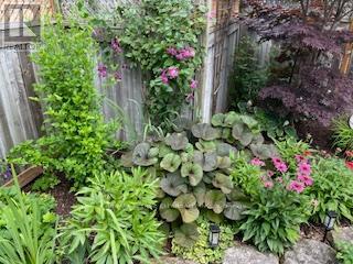 39 - 145 North Centre Road, London North, Ontario  N5X 4C7 - Photo 37 - X12951620