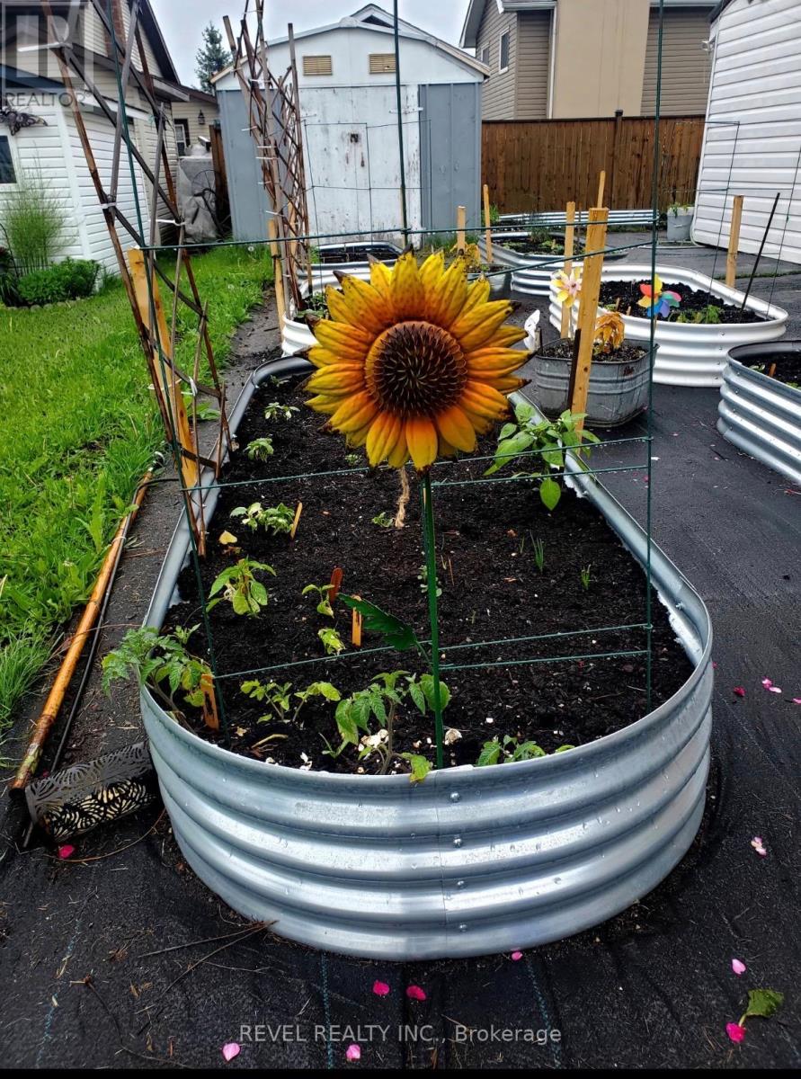 98 Shirley Street N, Timmins, Ontario  P4R 1B9 - Photo 45 - T12951636