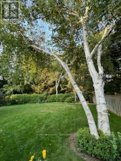 440 Parkridge Crescent, Oakville, Ontario  L6M 1B2 - Photo 36 - W12950592