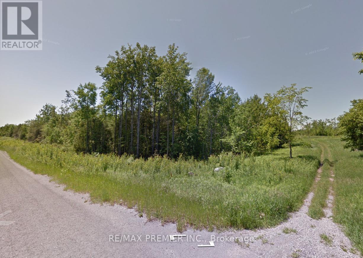 Lot 11 Timberland Drive, Trent Hills, Ontario  K0L 1Z0 - Photo 5 - X12548256