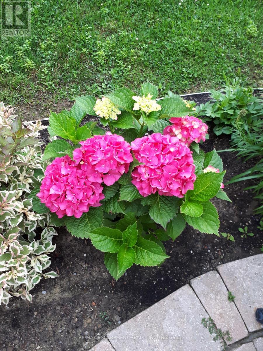 542 Jerseyville Road W, Hamilton, Ontario  L9G 3L5 - Photo 44 - X12951382