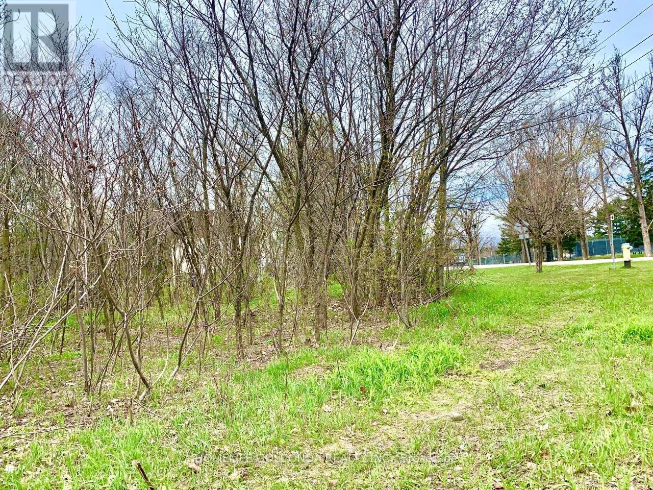 Lt 46 Phillip Street E, Gravenhurst, Ontario  P1P 1S6 - Photo 2 - X12951446