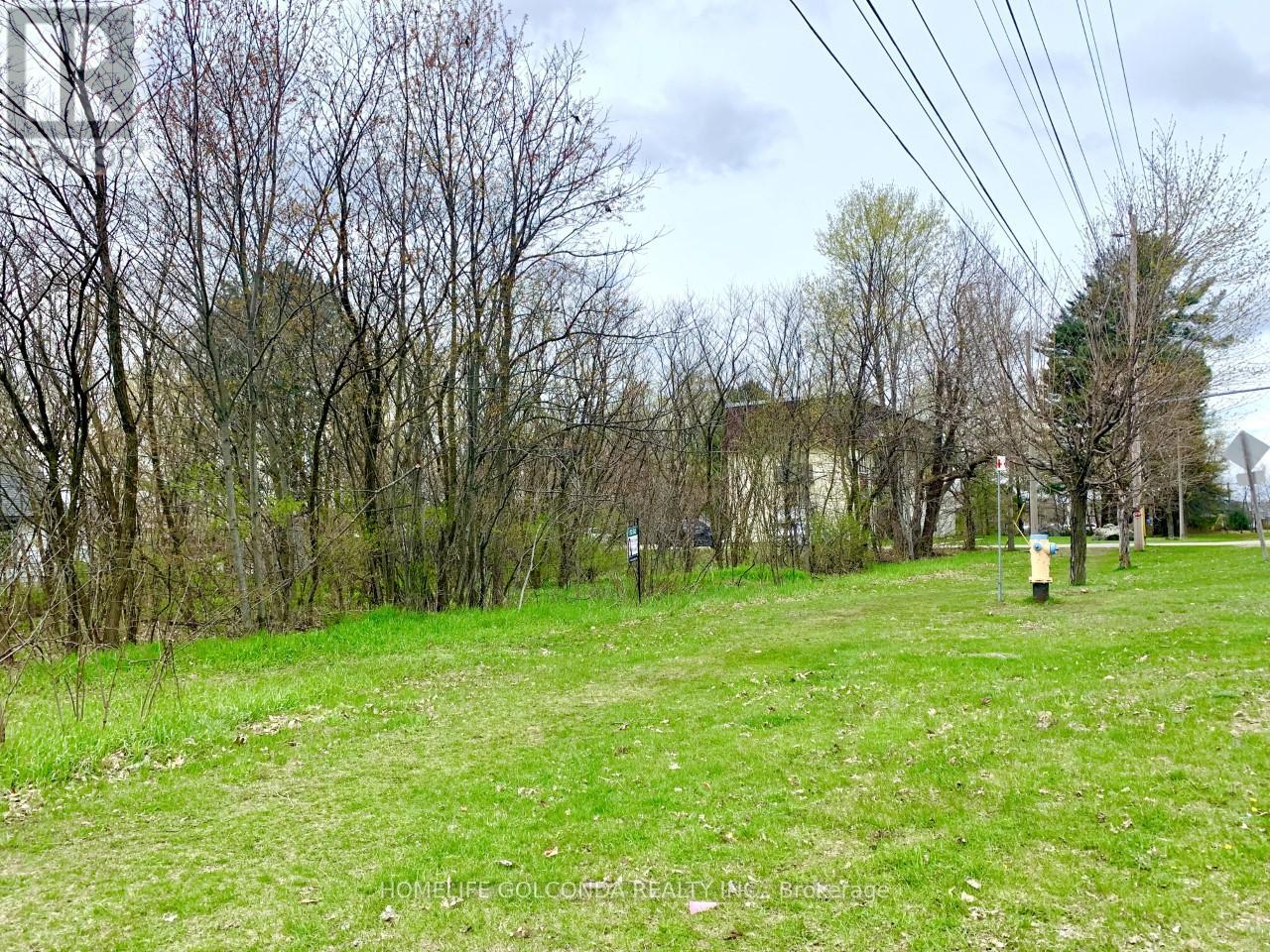 Lt 46 Phillip Street E, Gravenhurst, Ontario  P1P 1S6 - Photo 3 - X12951446